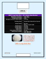 IRRI6 Rice, 25, 50, 100 % Broken